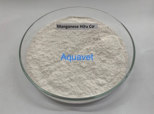 Mangan Hữu Cơ